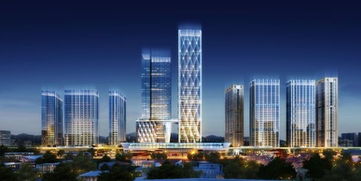 一載風華 龍光地產(chǎn)上海公司環(huán)滬布局獨家解析